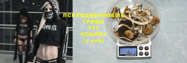 прущая мука Алзамай