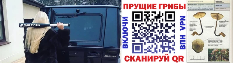 Галлюциногенные грибы ЛСД  Кирсанов 